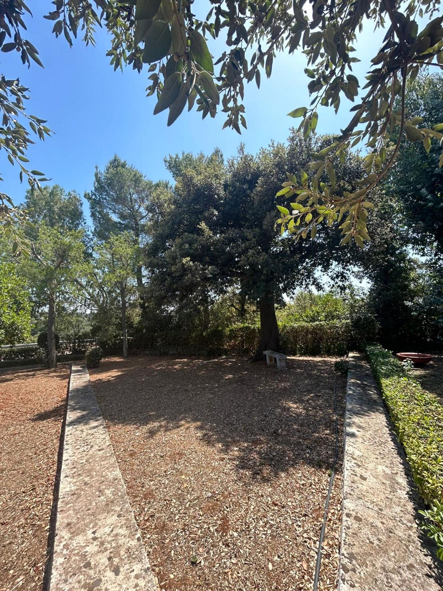 Villa San Michele By Sthey Impalata Exteriér fotografie
